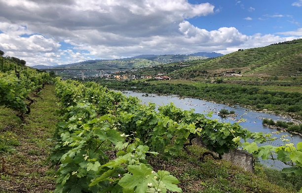 Photograph from Chris Snyders’ European travels — 15 May 2026: Day 16: Porto